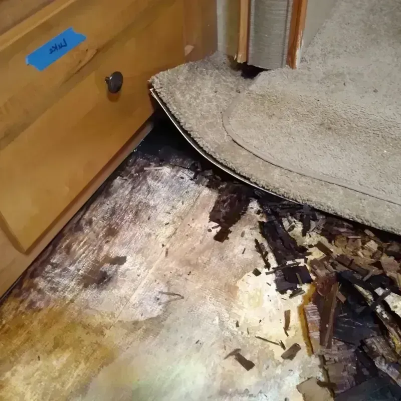 Wood Floor Water Damage in Oak Point, TX